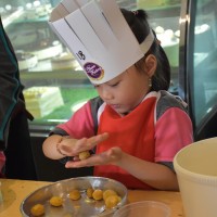 Field Trip L'Cheese - 2020